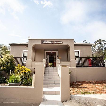 Flametree Guesthouse Swellendam Ngoại thất bức ảnh