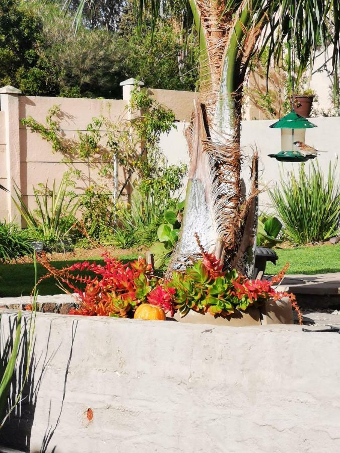 Flametree Guesthouse Swellendam Ngoại thất bức ảnh